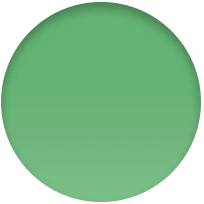 Correa deportiva verde brillante (41 mm) - Talla única - Image 4
