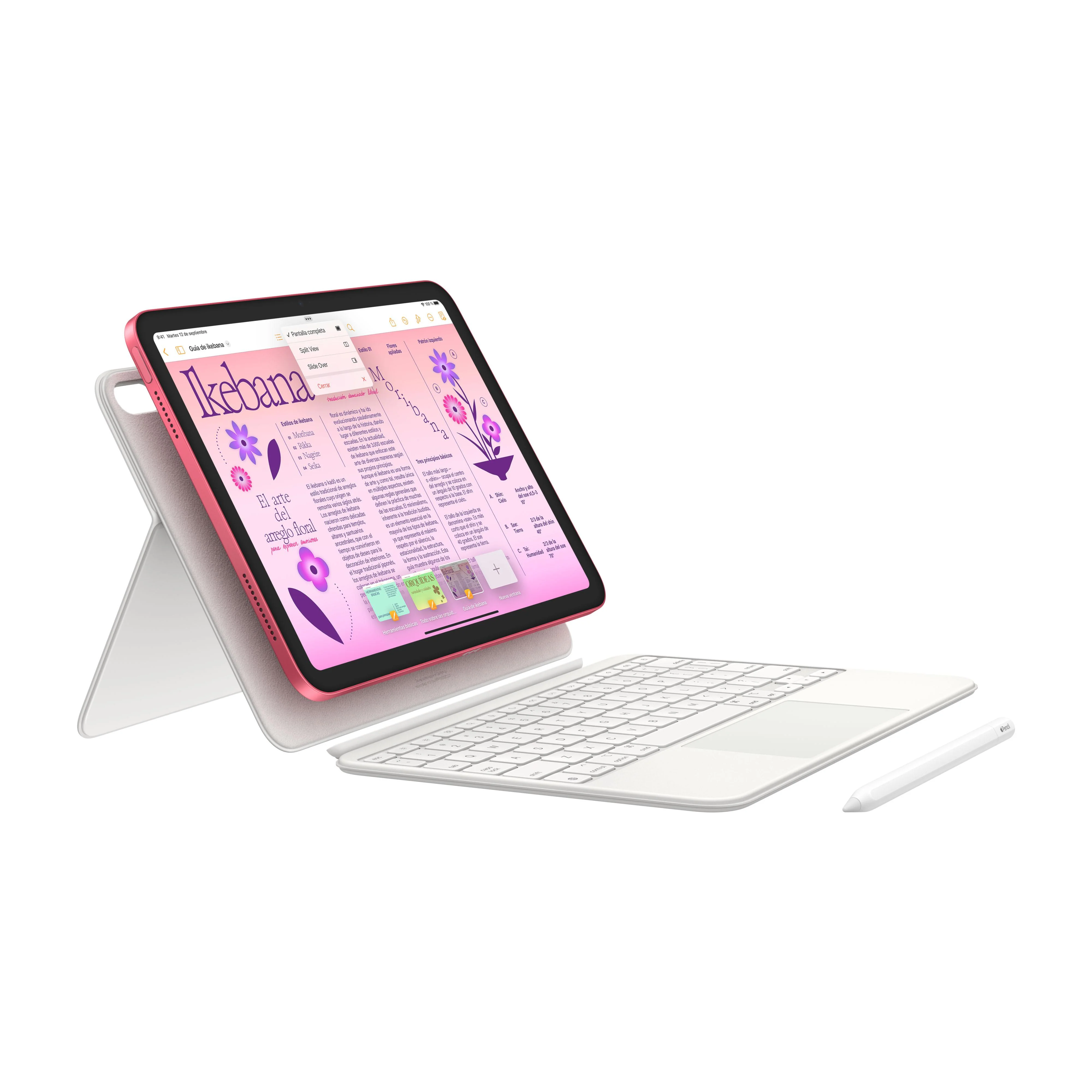iPad de 10,9 pulgadas Wi-Fi 256 GB - Rosa (10.ª generación) - Image 8