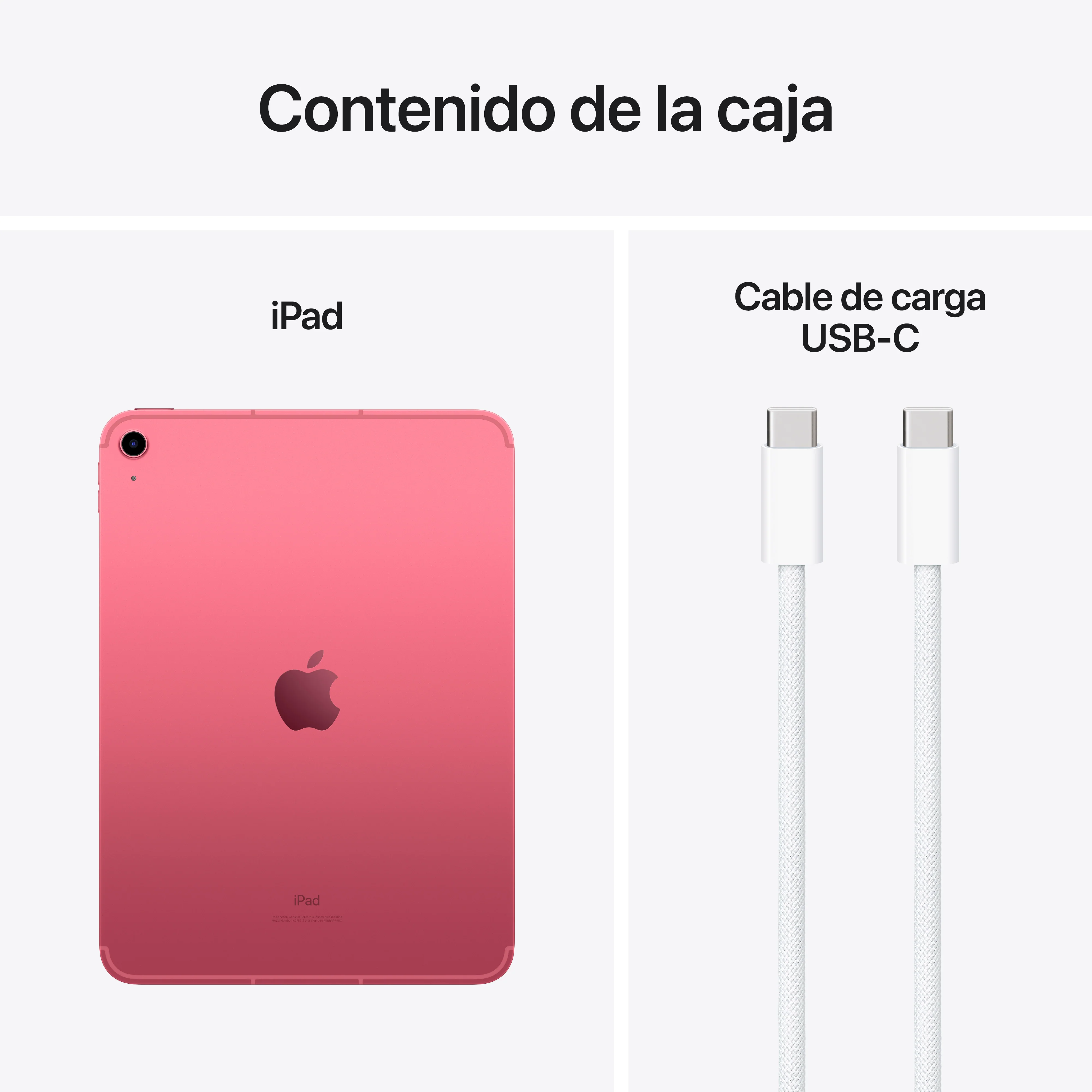 iPad de 10,9 pulgadas Wi-Fi + Cellular 256 GB - Rosa (10.ª generación) - Image 9