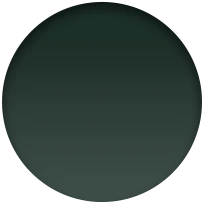 Apple Watch Ultra 2 (GPS + Cellular) - Caja de titanio negro de 49 mm - Correa Loop Alpine verde oscuro - Talla M - Image 11