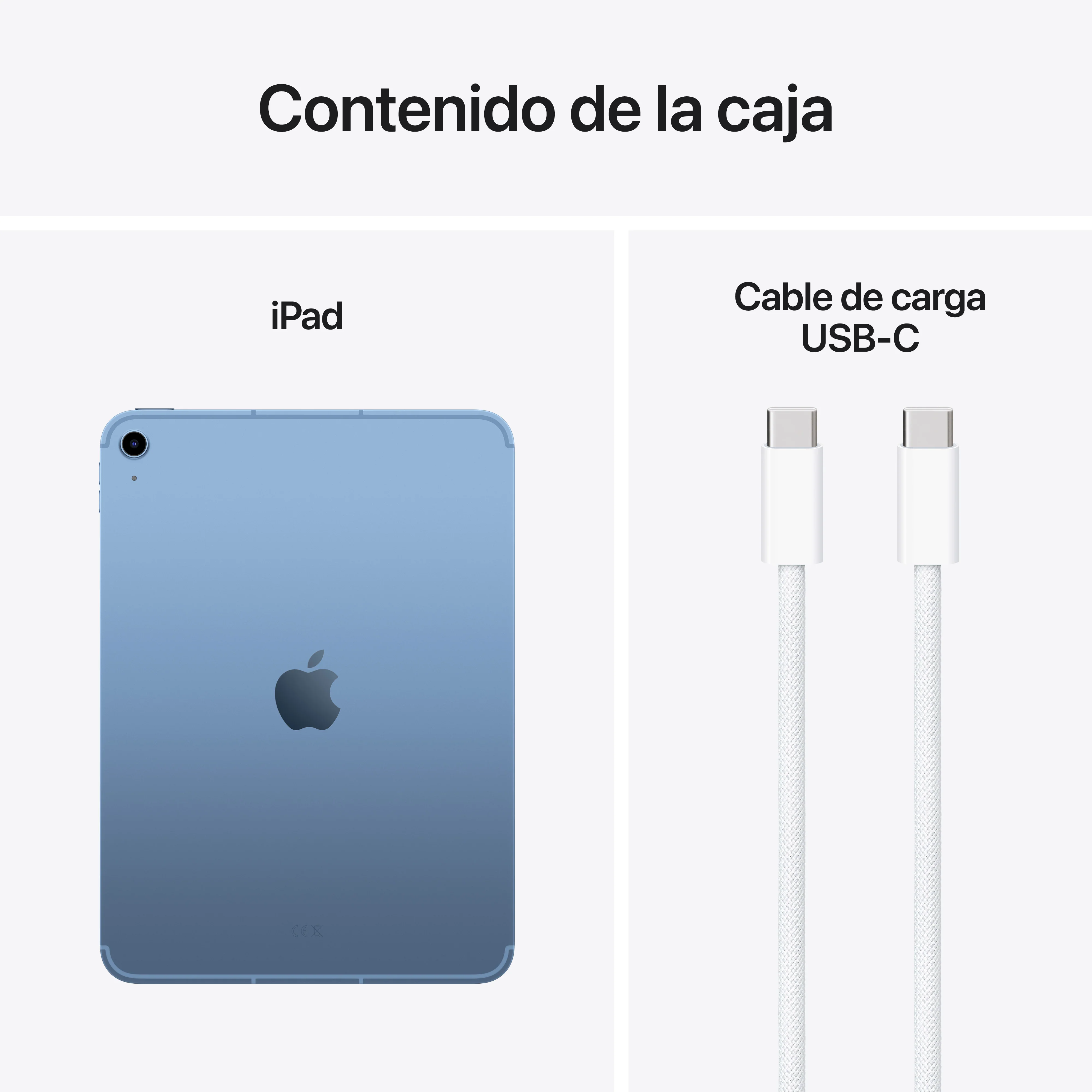 iPad Wi-Fi + Cellular 256 GB - Azul (A16) - Image 8