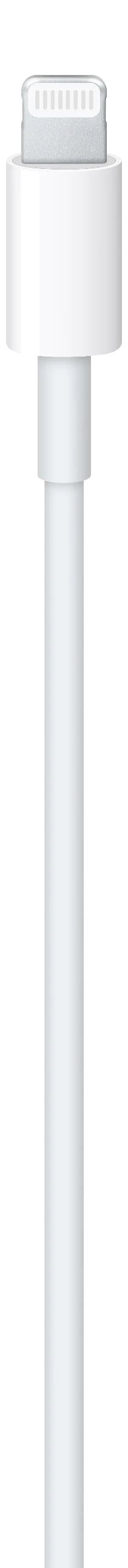 Cable de USB-C a conector Lightning (1 m) - Image 3