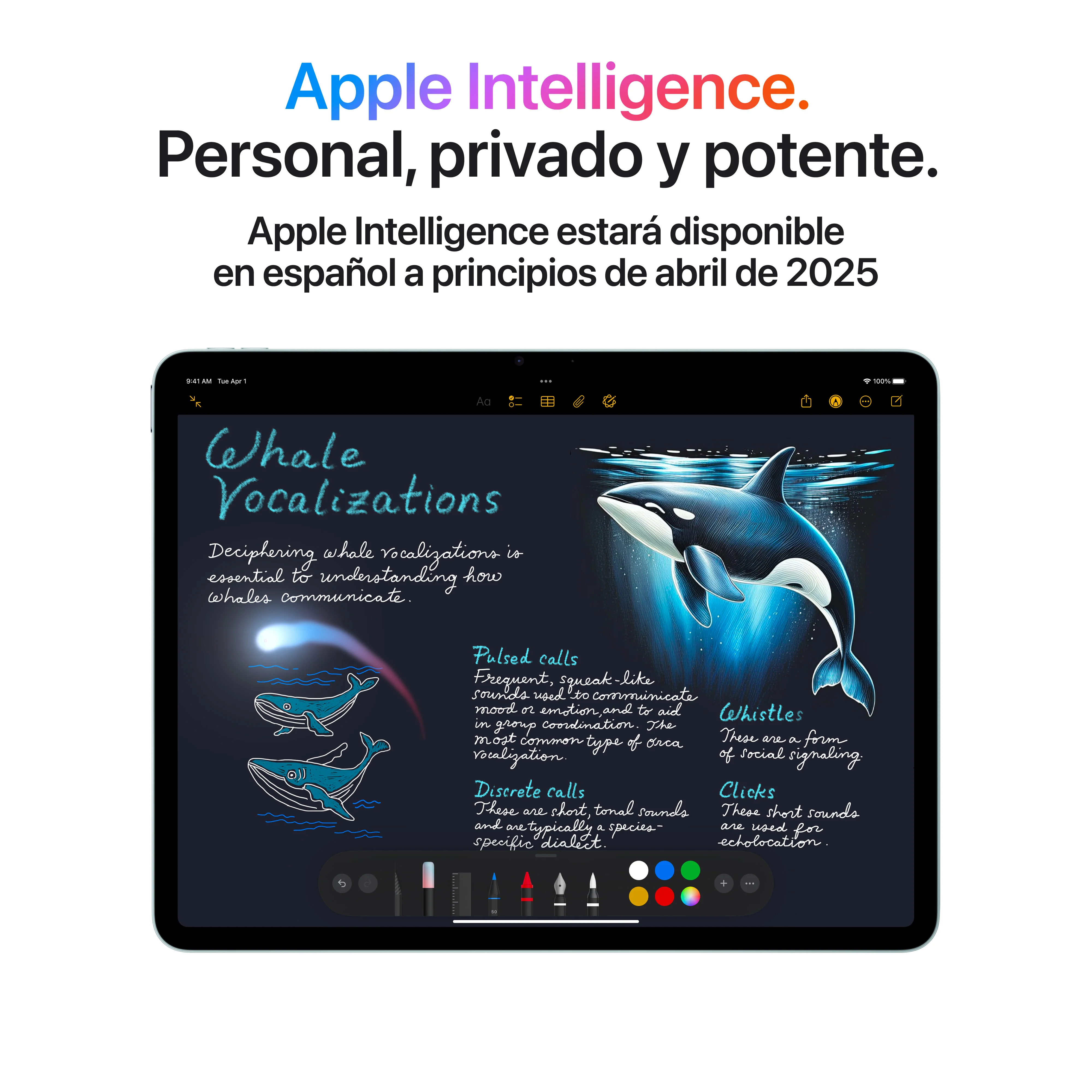 iPad Air de 13 pulgadas Wi-Fi + Cellular 512 GB - Azul (M3) - Image 5
