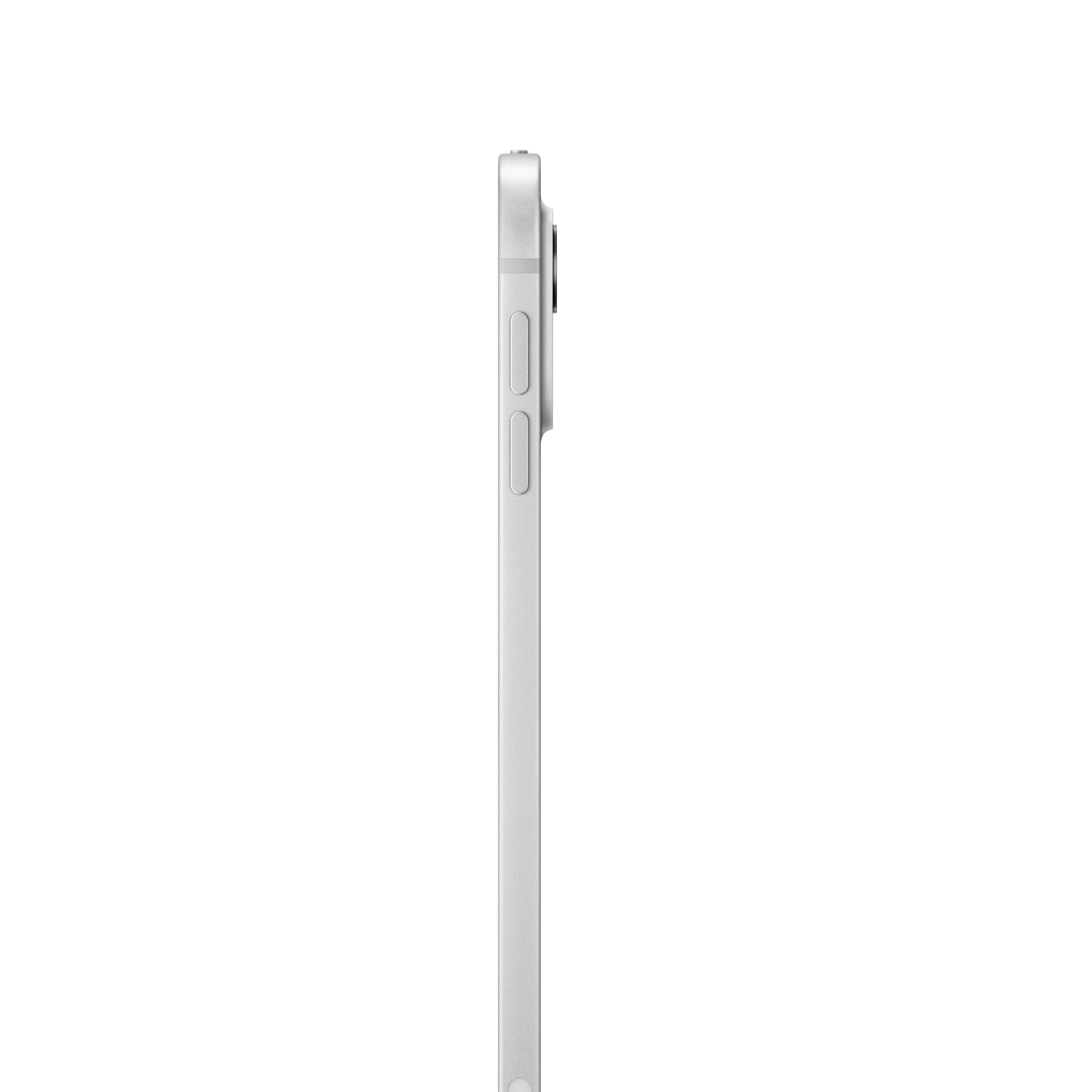 iPad Pro de 11 pulgadas Wi-Fi 256 GB Vidrio estándar - Plata (M4) - Image 3
