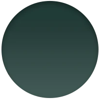 Llavero de piel para el AirTag - Forest Green - Image 4
